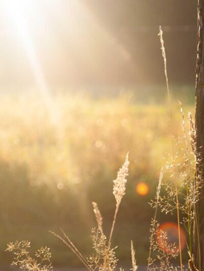 Behind the Scenes: Rain Machines and Rented Fog, still 9
