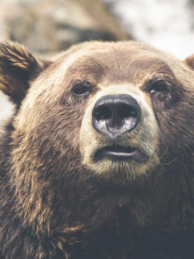 Field Recording in a Dead Shopping Mall, still 1