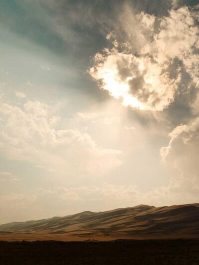 The Grain Debate: Film Emulation in 2026, still 2