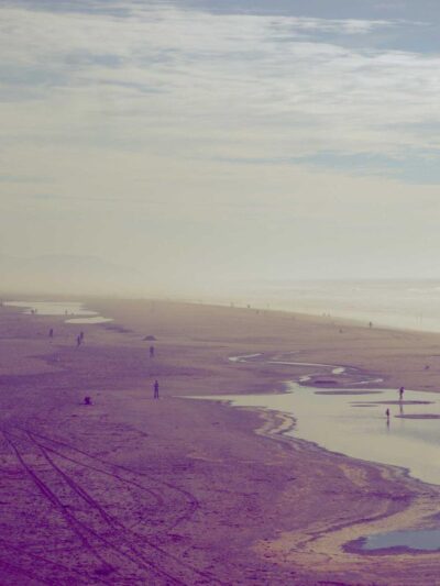 Travel Log — Ferries, Fog and Fourteen Rolls, still 10