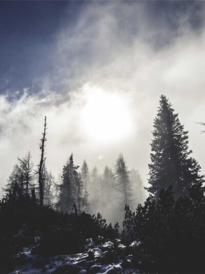 Travel Log — Ferries, Fog and Fourteen Rolls, still 11